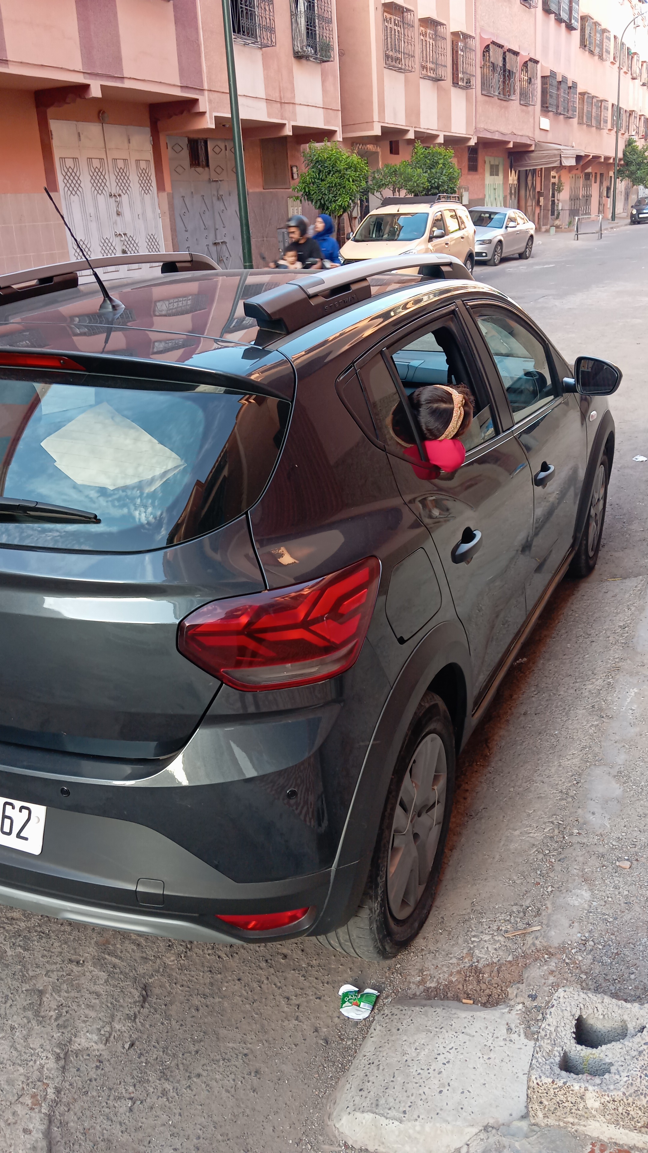 Sandero Stepway photo 2